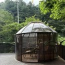 별을 담은 숲 이미지