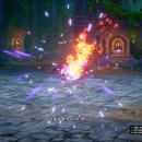 퍼피빈 스튜디오 이미지