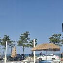 월포농장 이미지