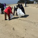 덕적면 면사무소 이미지