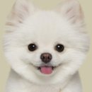 루체테스튜디오 이미지