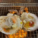 돈먹은 가리비 이미지