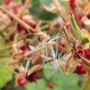 월영농장 이미지