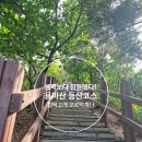 용마산 등산코스 추천｜사가정공원에서 용마봉까지 4시간 완주 후기 (깔딱고개·야경 명소)