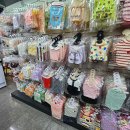 야옹아멍멍해봐 김포운양점 이미지