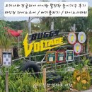 오키나와 정글리아 정글리안 아이랑 어트랙션 직접 이용한 후기 : 버기볼티지 다이노사파리 파인딩...