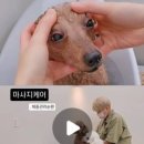 꼼꼼하개 - 양산시 버들길 12 | 꼼꼼하개