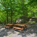 옥룡숲속의아침 이미지