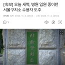 [속보] 오늘 새벽, 병원 입원 중이던 서울구치소 수용자 도주 이미지