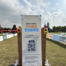 한마음펫 | 2025년 반려동물 한마음축제 다녀온 후기 서호광장주차꿀팁 (이웅종소장님)