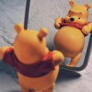 에비슈라 이미지