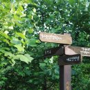 햇빛공원 배드민턴장 이미지