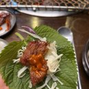 육조선