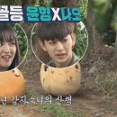 윤형농장 이미지