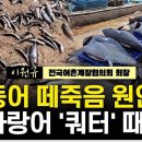 동해안 어민 “참다랑어·고등어 쏟아지는데…냉동·제빙 시설 없어 헐값에 내준다” 이미지