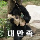 헤어썸 - 87675 | 헤어썸