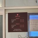 쿠치로 | 신시가지 강아지카페 쿠치로 후기_ 강아지 천국