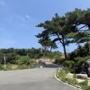 장천골메밀가 이미지