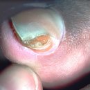 성가병원 이미지