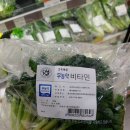 초록마을풍암점