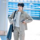 코튼필드 이미지