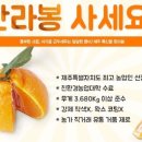 맛조아농장 이미지