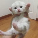 빵빵해요