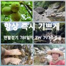 다래골펜션 이미지