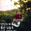 나무와 새 이미지