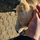 주남농장 이미지