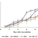 수용성 생강 추출물의 경구투여는 흰다리새우의 성장, 항산화력 및 Photobacterium damselae에 대한 저항성 증가 이미지
