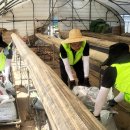 수곡농협 이미지