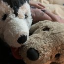 로뎀정신건강의학과의원 이미지