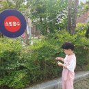 8월8일 강동초등학교(이음교육) 이미지