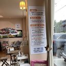 stadium of dogs 이미지