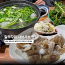 성남 백합식당 알쭈꾸미 샤브샤브 시즌! 제철 싯가 및 솔직 후기