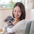 닥터메디 이미지