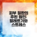 코아동물병원 | 해운대동물병원, 고양이 피부 고민 끝!