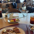 오션 라운지 | 시그니엘 부산 프리미어 더블 오션뷰 후기 더뷰 런치 조식 라운지