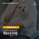 광명 24 아이디동물의료센터 이미지