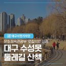 수성못 관광안내소 | 문화체육관광부 ‘로컬100’ 선정 대구 수성못 둘레길 산책