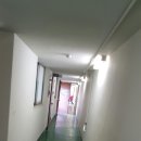 2.24일자 대구시민야구장 (구)대구구장 이미지