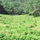 가재골농장 이미지