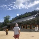 김밥반상회 이미지