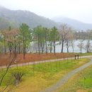 이호우(李鎬雨)-살구꽃 핀 마을 이미지