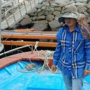 풍경민박 이미지