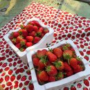 부래미마을 이미지