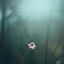 마루벌돌구이군산점 이미지