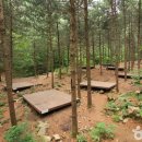 종로-현장-종로-세-250 이미지