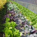 안덕민속한의원 이미지